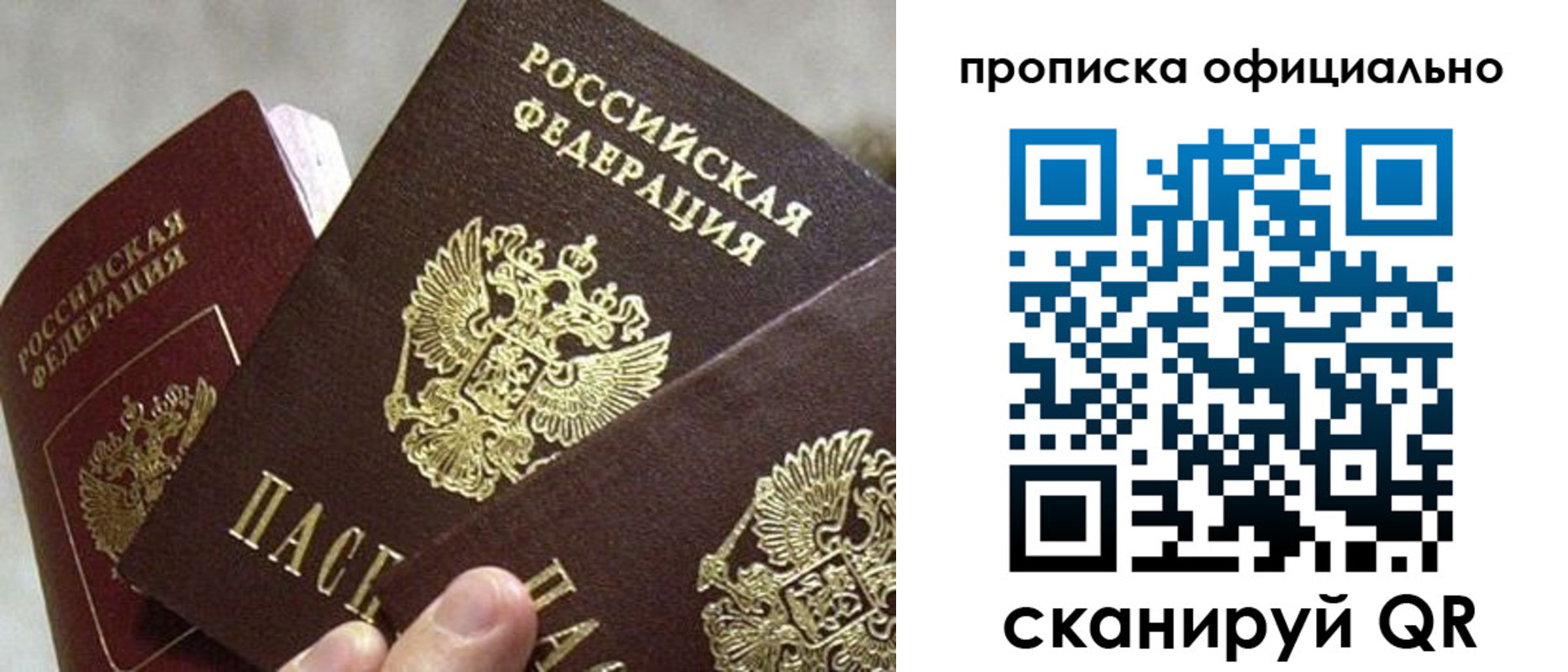 прописка гарантия в Менделеевске